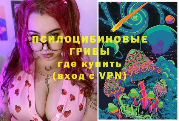 a pvp Арсеньев