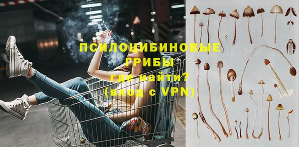 a pvp Арсеньев