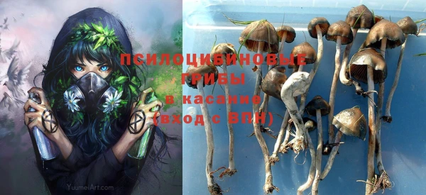 индика Армянск