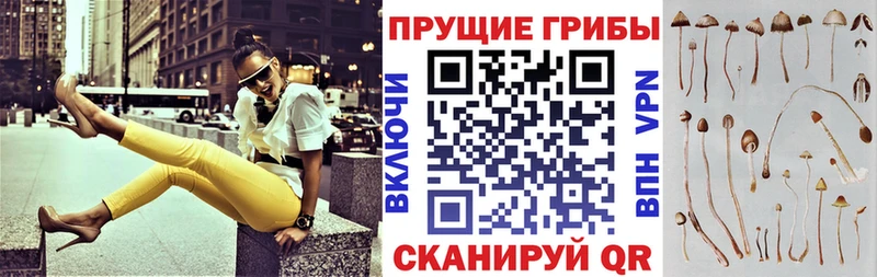 Купить где  Славянск-на-Кубани  Псилоцибиновые грибы мухоморы 
